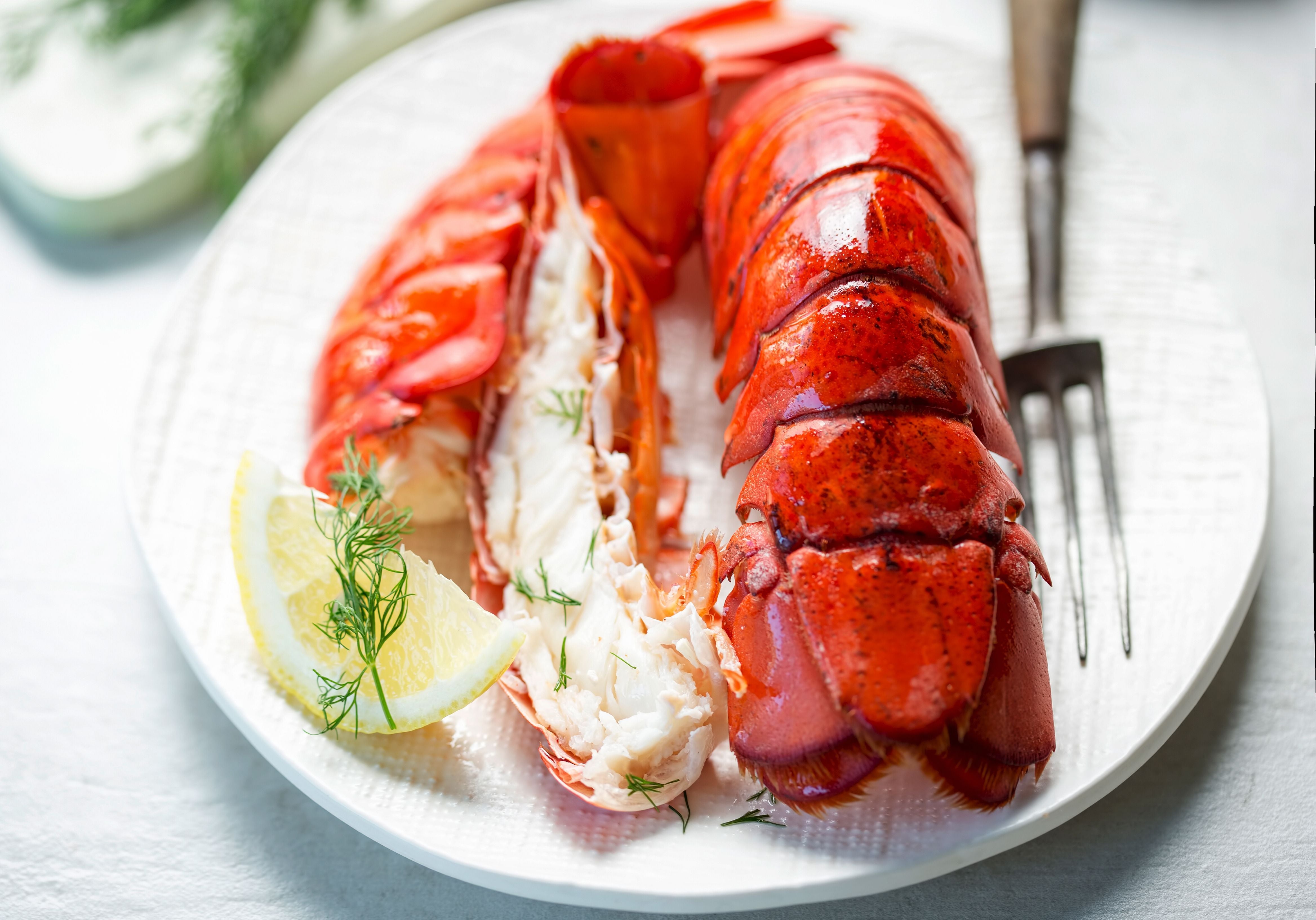 Cooked lobster tails served with lemon and fresh dill. King George's Steak and Seafood. 